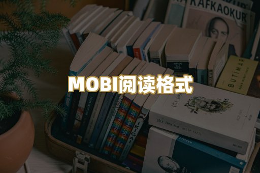 MOBI阅读格式